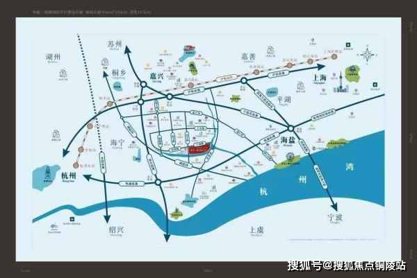 全国沃柑最新价格及市场分析深度解读