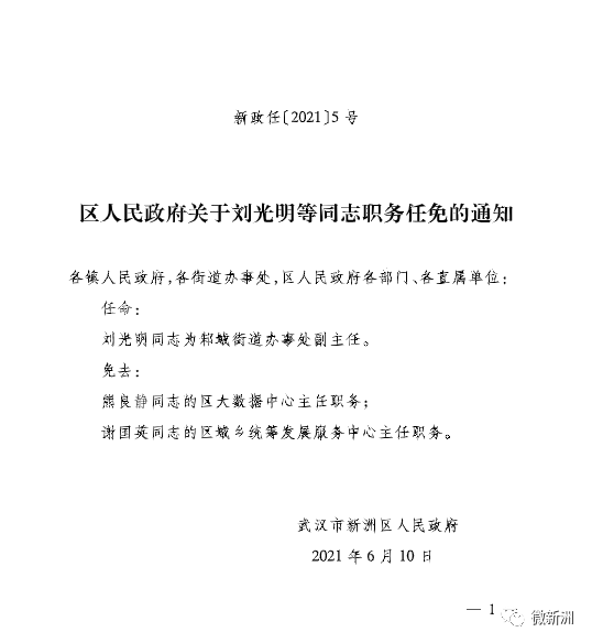 金平区最新人事任免，最新动态与观点论述