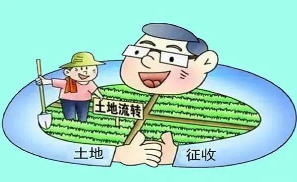 最新农村土地赔偿标准下的温情故事揭晓