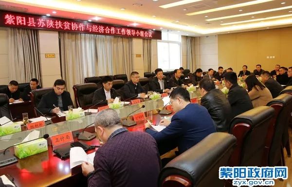 大荔金紫阳最新消息,大荔金紫阳的最新消息