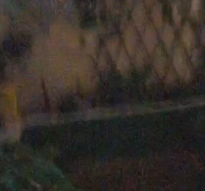 咪多吡最新价格，科技引领智能生活新体验