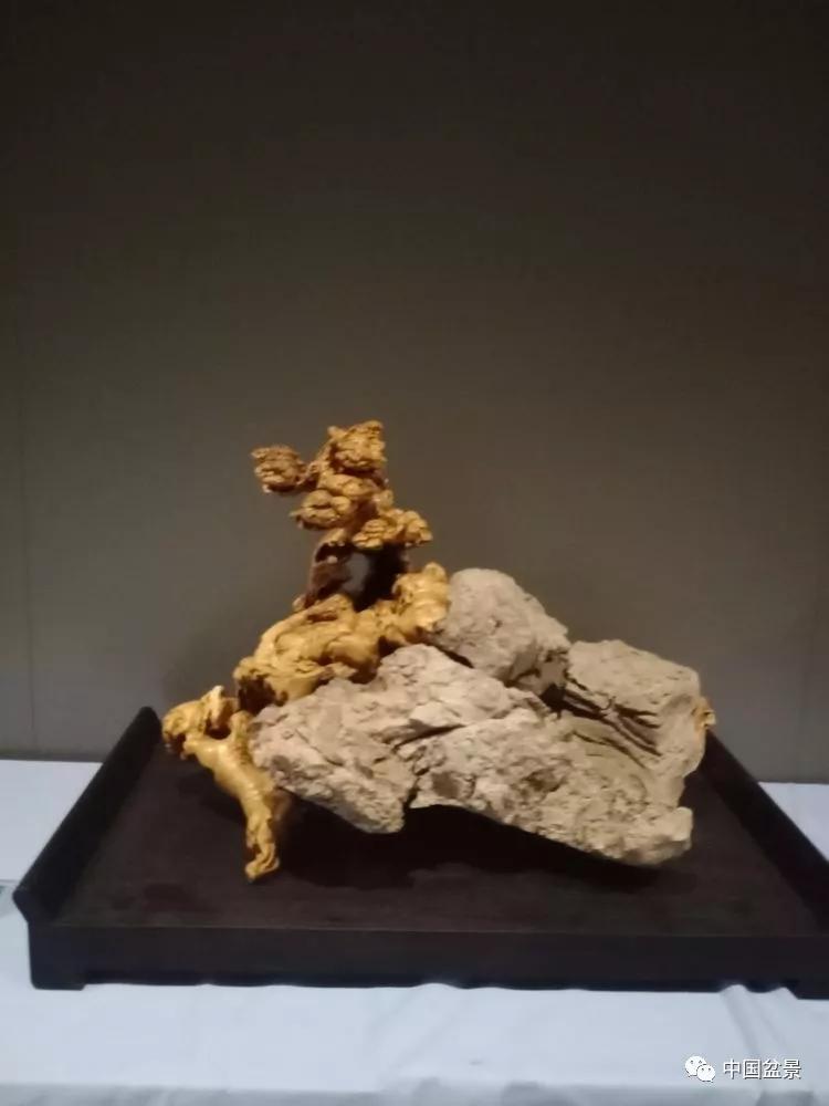 最新根艺作品展，自然美景的探索之旅