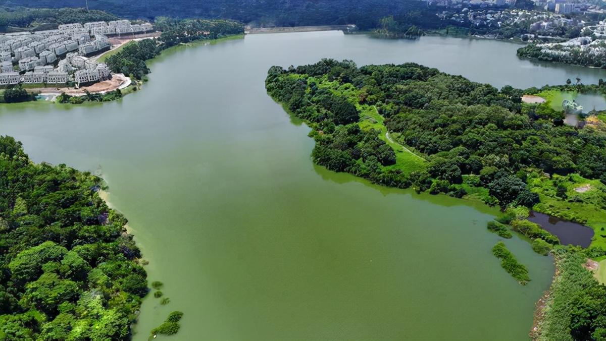 金地香山湖最新楼价,金地香山湖最新楼价概览