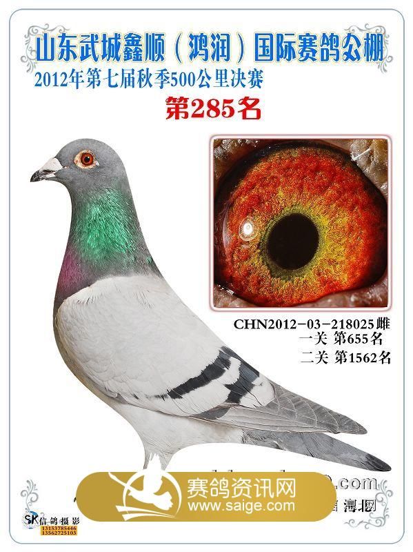 第3700页