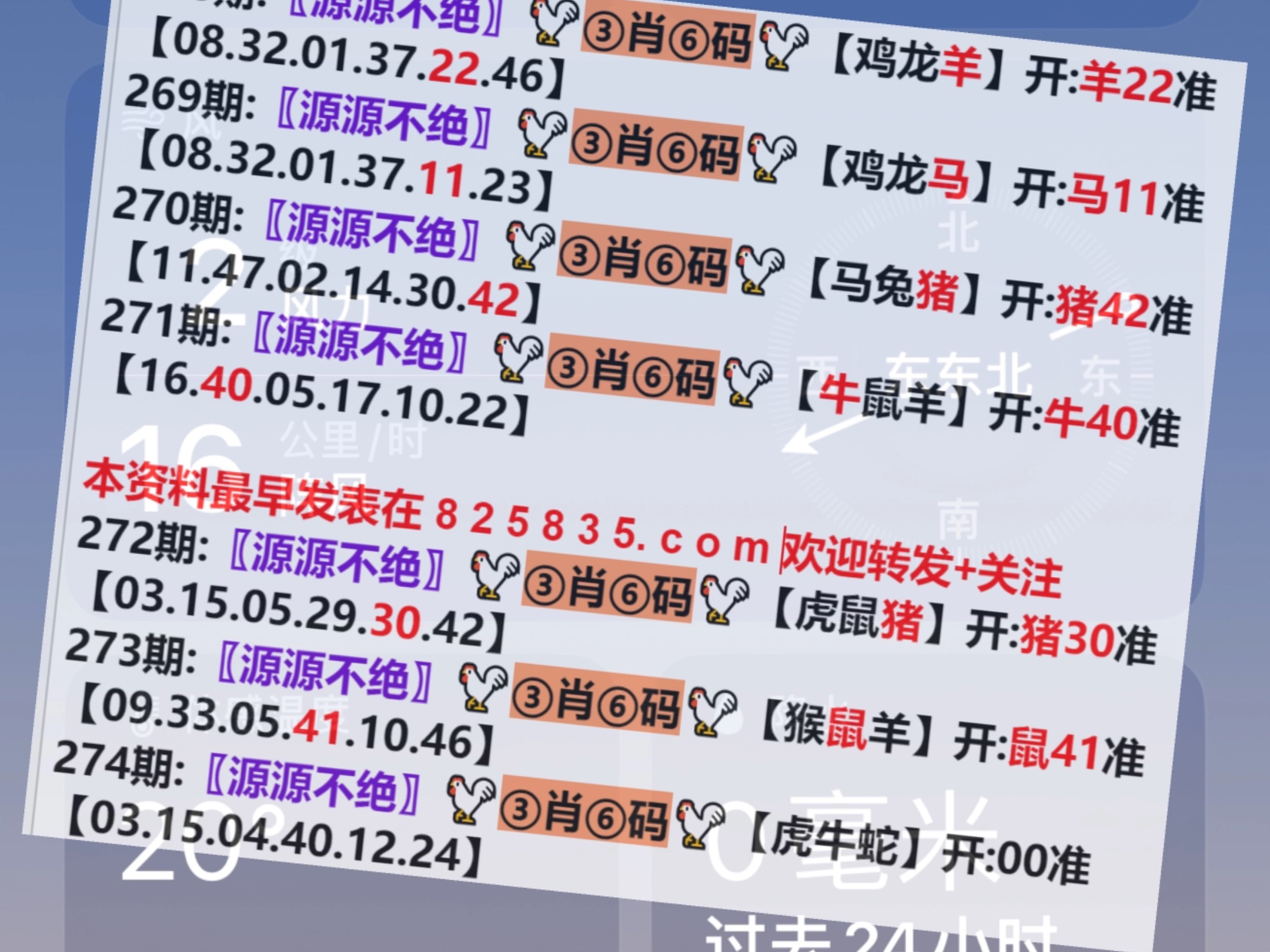 2024今晚澳门特马开什么码,平衡计划息法策略_SLA12.377经济版