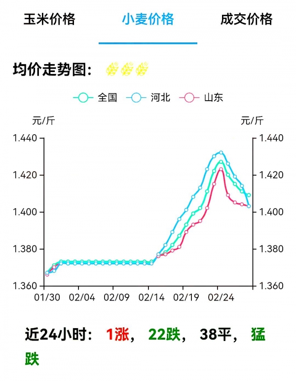 沧州小麦最新价格动态分析与趋势预测