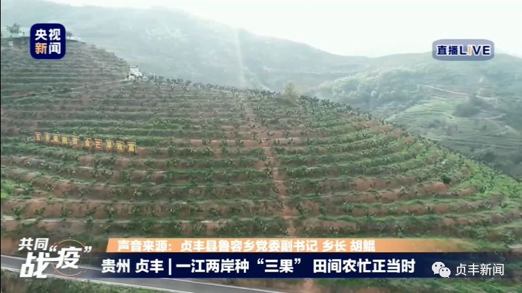 安溪新闻最新动态，小巷深处的独特风味今日揭秘