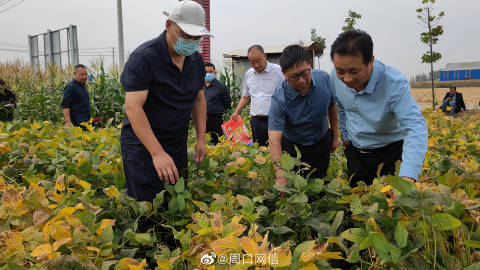 扶沟最新新闻动态更新📣📢