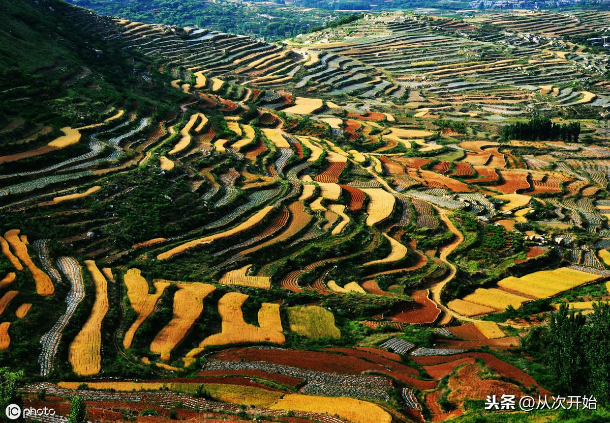 今天小麦行情揭秘，最新价格、麦浪中的温情与友情故事