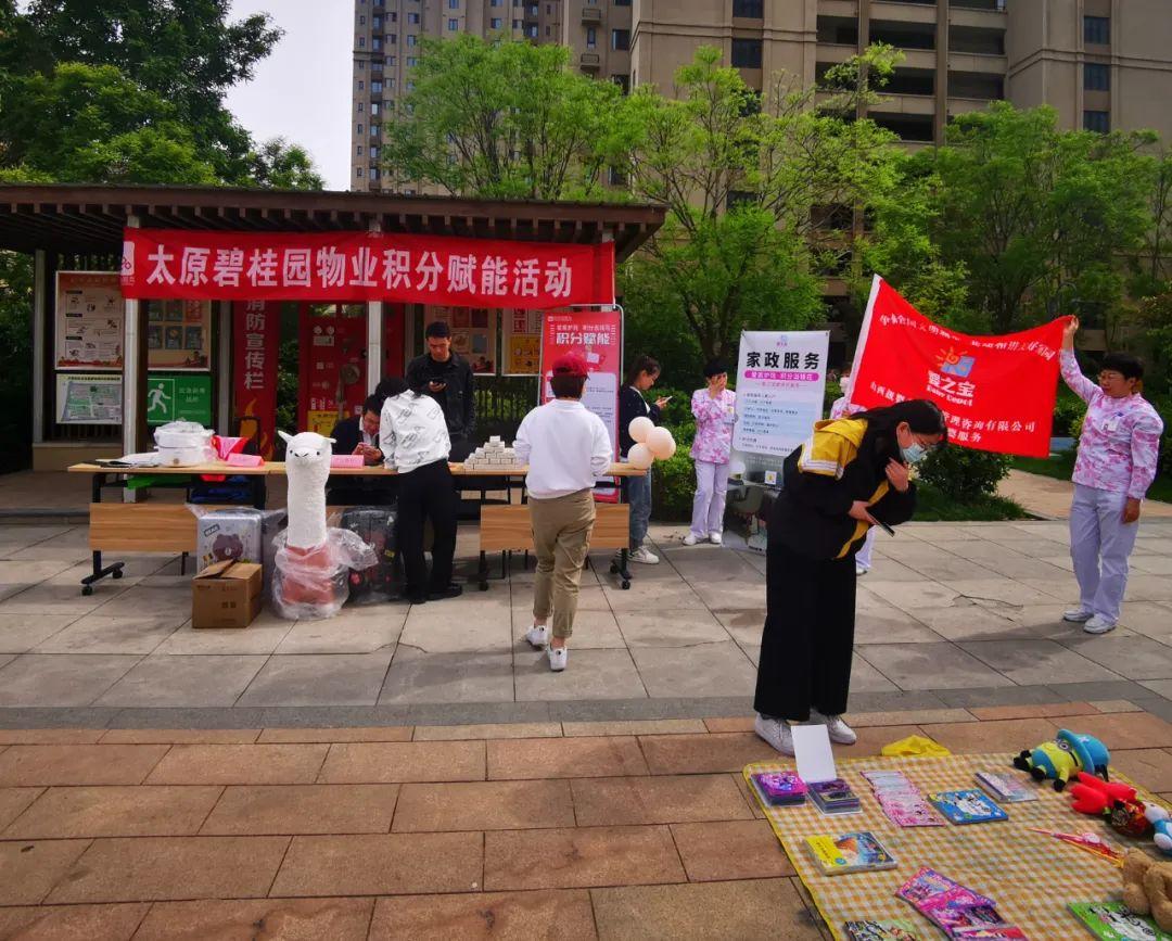 探索特色小店神秘魅力，最新理财排行与小巷中的隐藏宝藏
