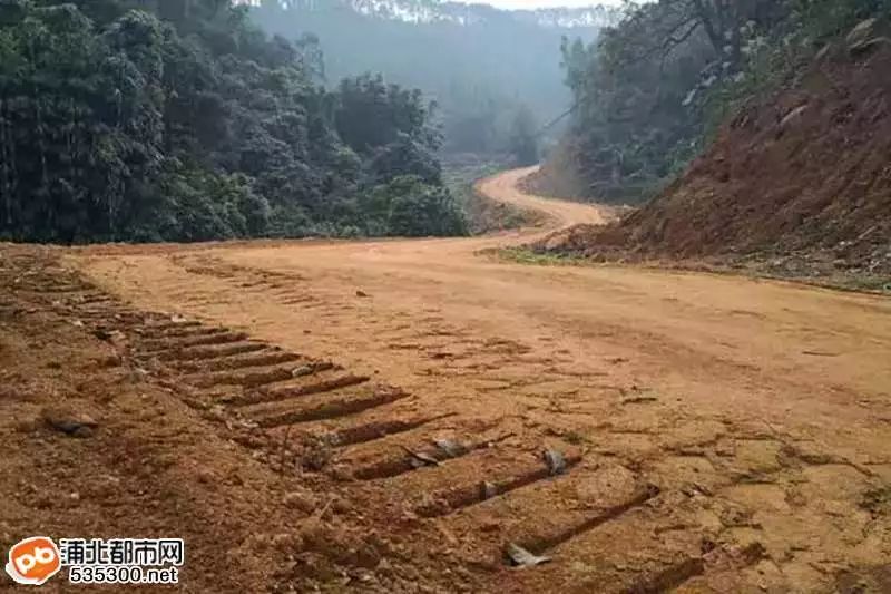 那坡搬迁最新动态，各冬情况更新及我的观察分析