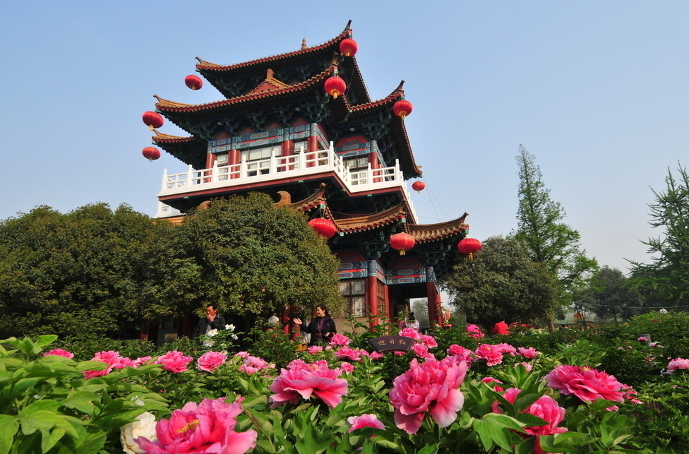 洛阳古城重塑历史，点燃未来励志之旅，最新改造消息揭秘