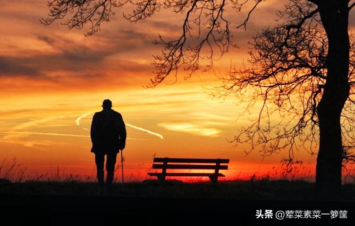 荣耀8最新系统版本，友情温馨升级之旅