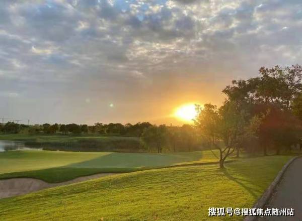 新三码必中一澳门今晚开奖,真实数据解析_Lite18.816-4