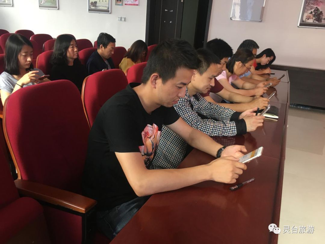 灵台县最新动态，小巷深处的独特风情