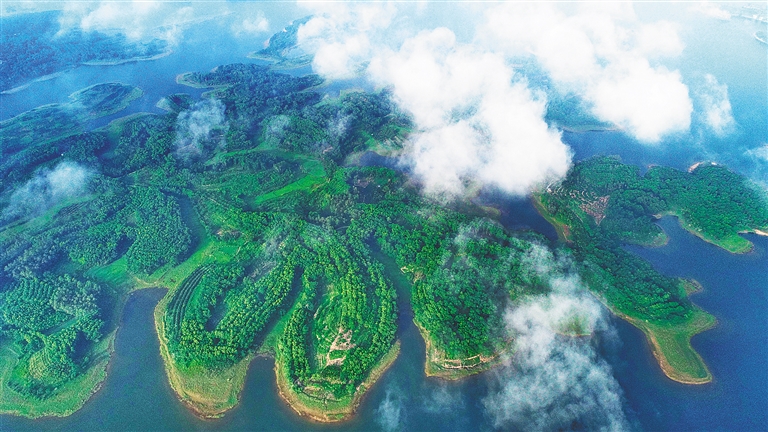 南海问题最新动态，探索自然美景的愉快旅行启程