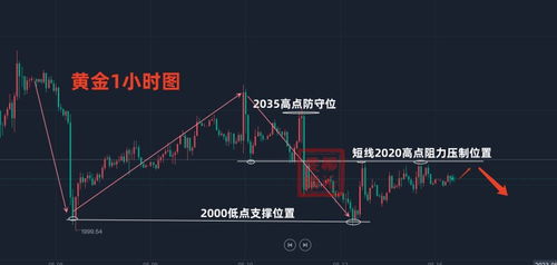 鳊鱼最新价格及市场走势多元观点分析