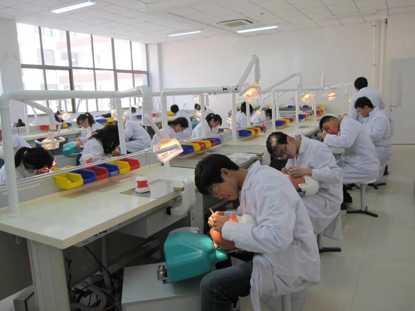 山东中考最新消息重磅更新📚