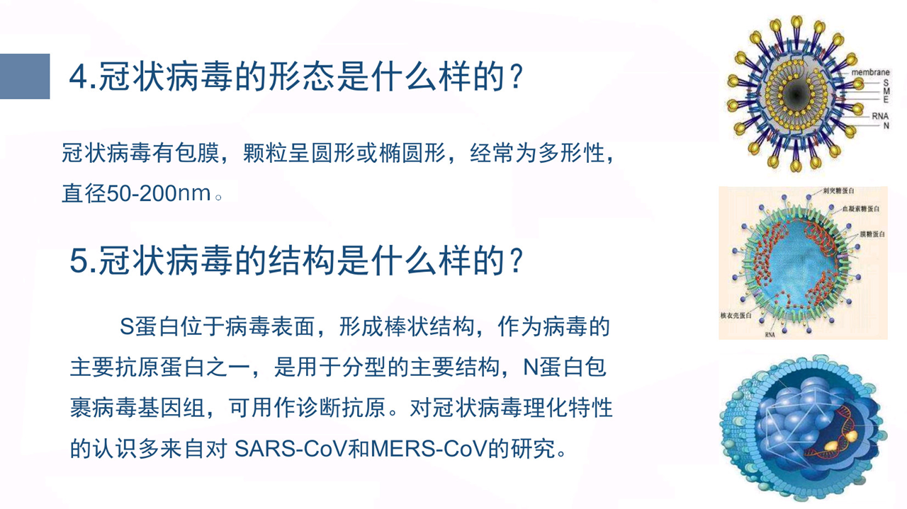 美国肺炎最新情况概览与观点论述