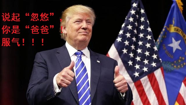 美国选举总统最新动态与观点论述