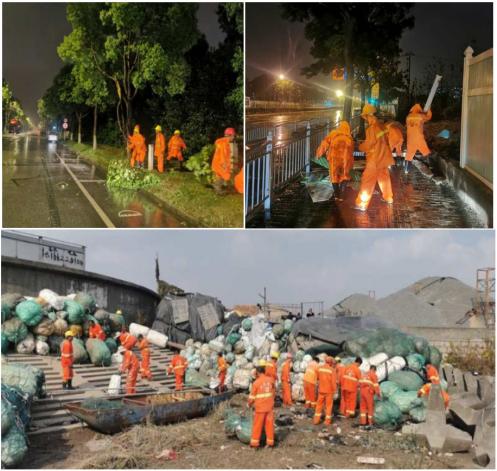 台风路径实时更新