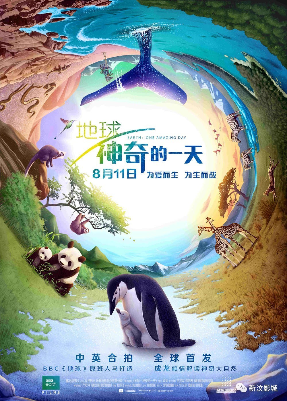 三的最新消息，心灵与自然的奇妙之旅