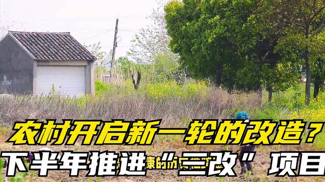 农村最新项目的日常故事与探索之旅