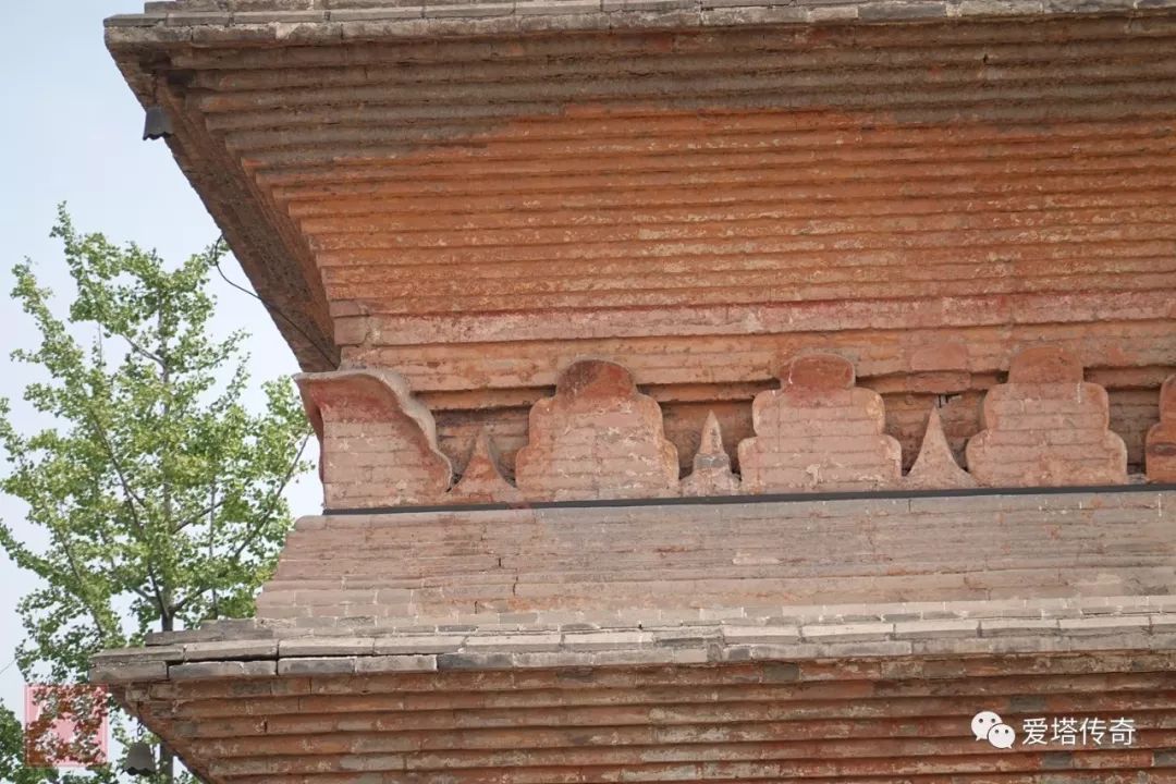 武陟妙乐寺最新动态揭秘