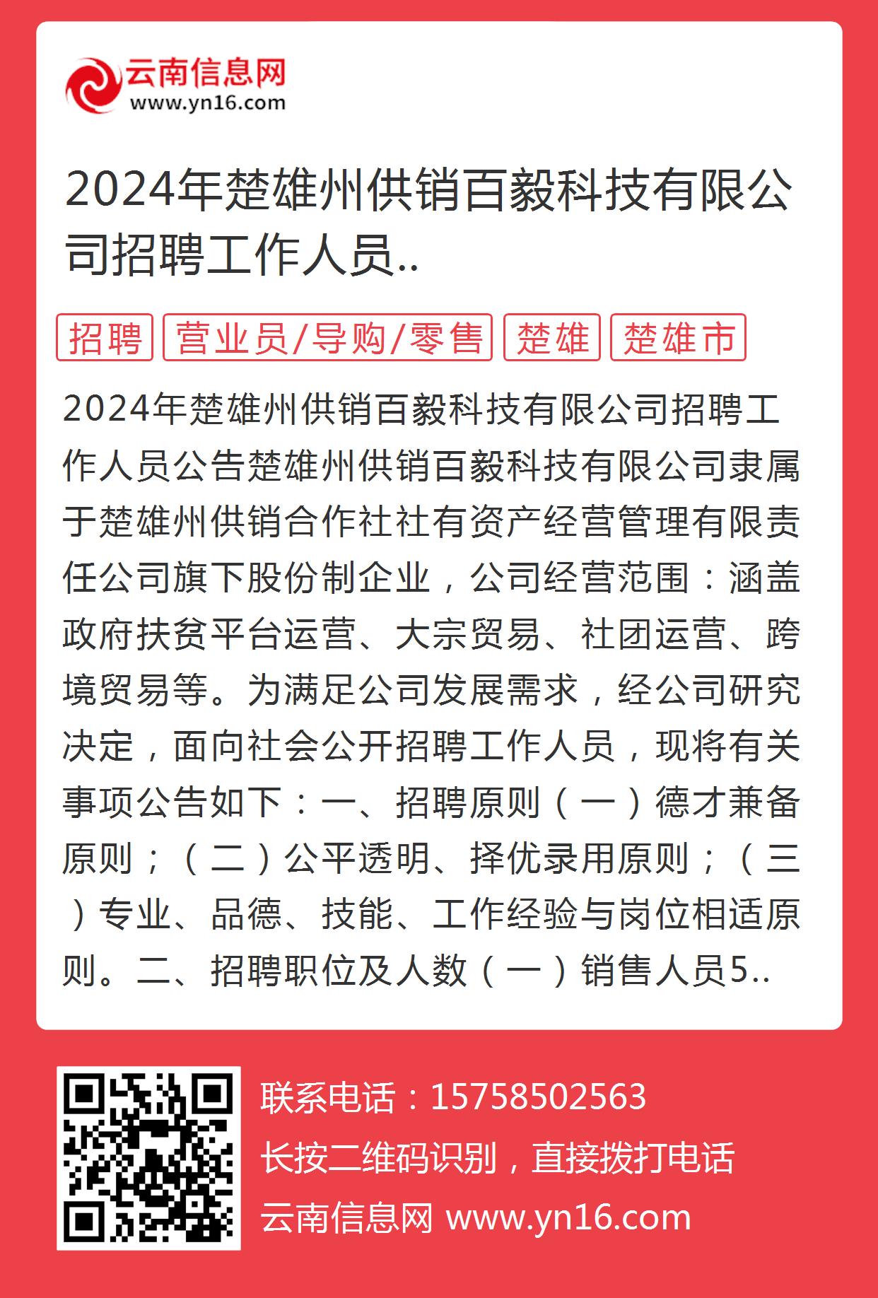 楚雄最新招聘信息网及使用指南概览