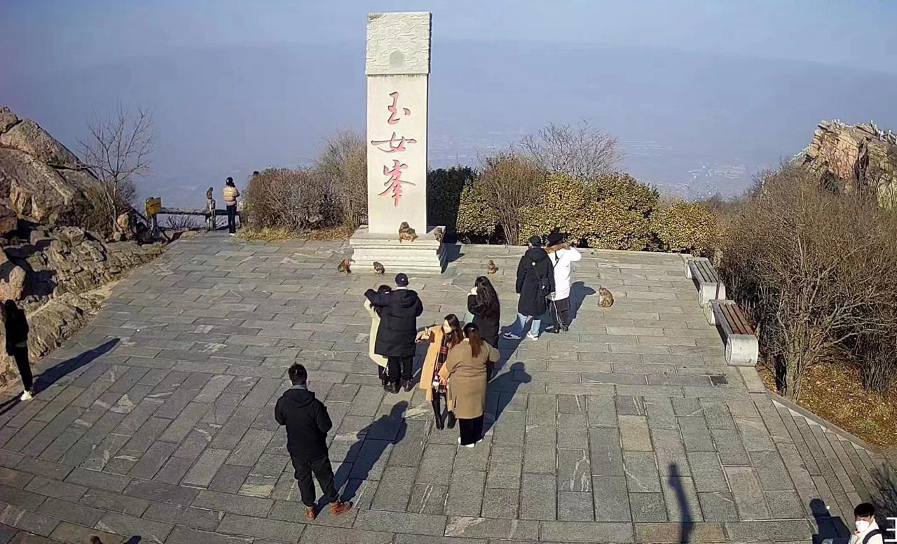 重生花果山，神秘之旅的三大探寻要点及最新章节